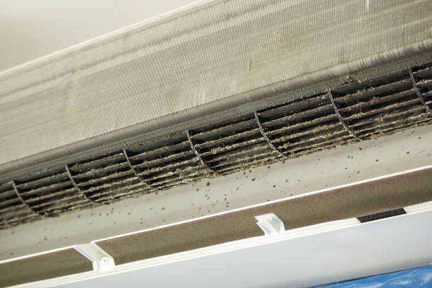 Best Home Air Vent Cleaning  in North Miami Beach, FL